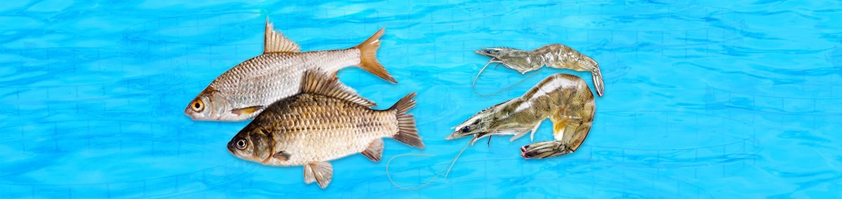 Fish and Shrimp Feed Supplement Manufacturers in Vijayawada